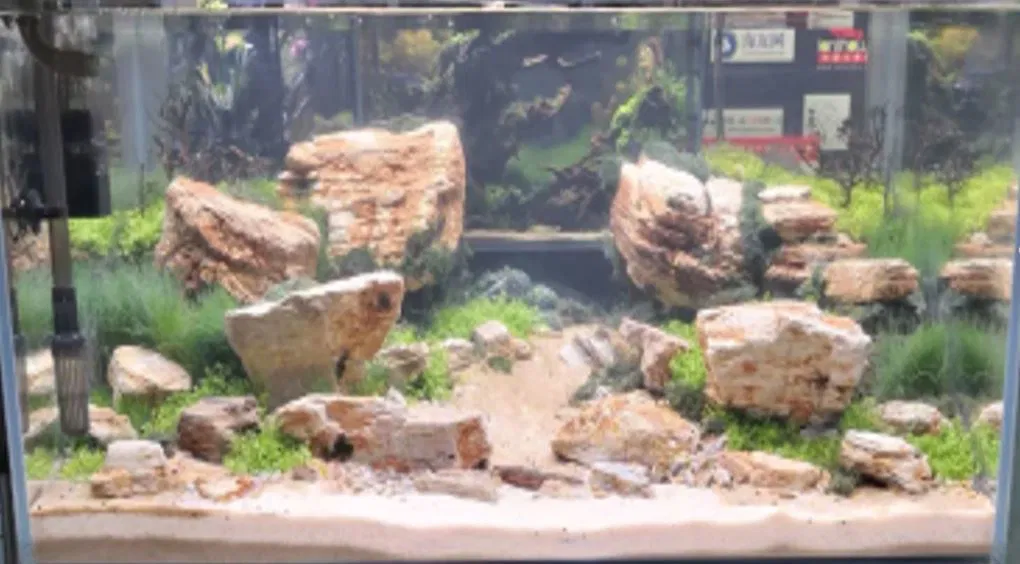 Aquascaping sten Red Multilayer pr kg